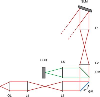 Real Time Generation of Three Dimensional Patterns for Multiphoton Stimulation